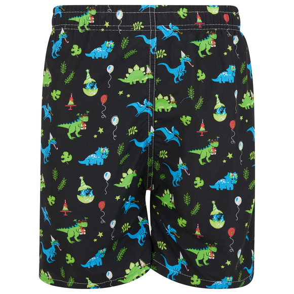 Boys Swim Trunks, Swimsuit Board Shorts, Elastic Bathing Suit, Dinosaurs - Picture 1 of 5